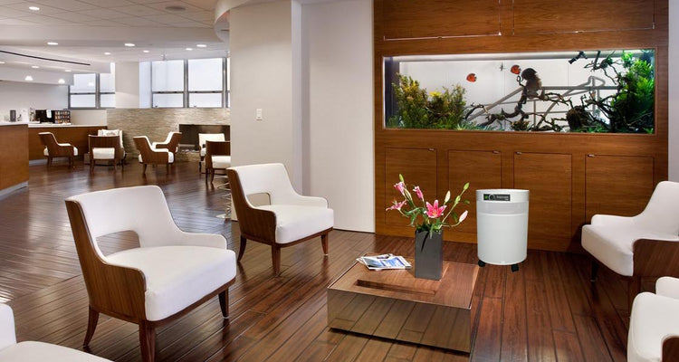 Best HEPA Air Purifier For Hospitals And Medical Offices