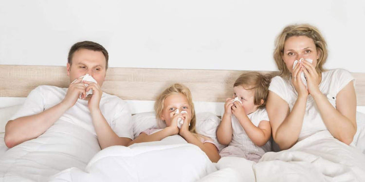 Different Types Of HEPA Air Purifiers Explained In Detail