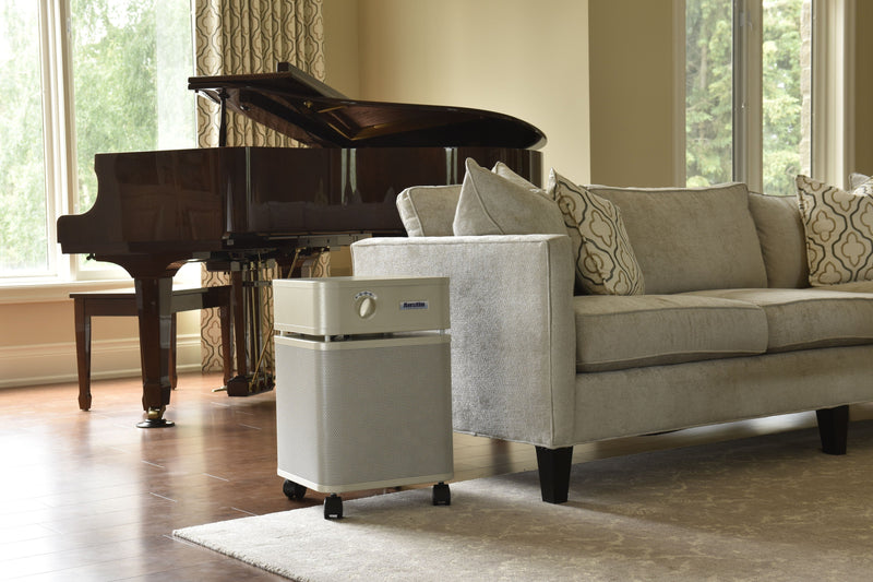 Load image into Gallery viewer, HM-450 Austin Air HealthMate Plus- Aircleaners.comHEPA Air Purifier