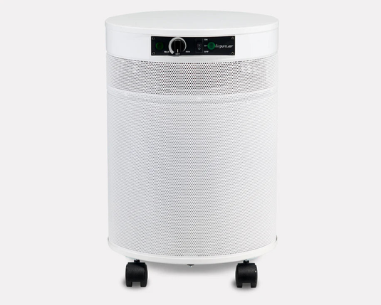 Airpura Smoke and Odor Air Purifiers Are The Best For Quickly Removing These Contaminants From Cigarettes, Cigars And Marijuana