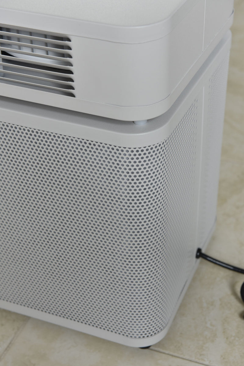 Load image into Gallery viewer, HM-450 Austin Air HealthMate Plus- Aircleaners.comHEPA Air Purifier 
