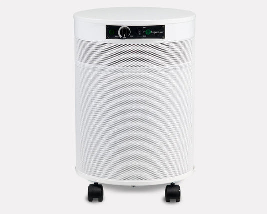 HEPA Air Purifier 